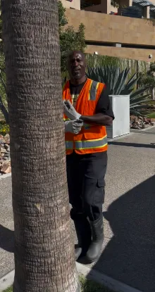 Trusted garden landscaping in Lemon Grove, CA by Aztec Landscaping