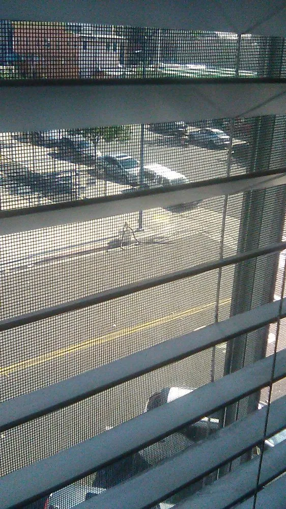 Expert garden landscaping in Lemon Grove, CA by Aztec Landscaping