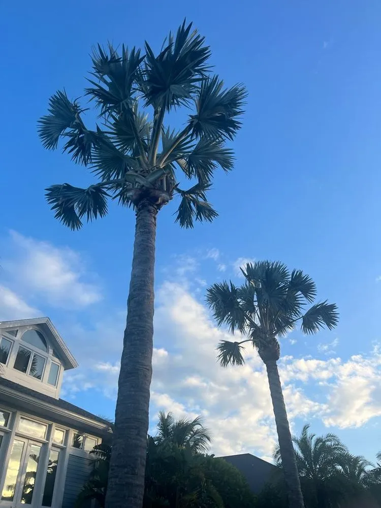 Local outdoor landscaping with custom design across Bradenton, FL - Aztec Lawns Service