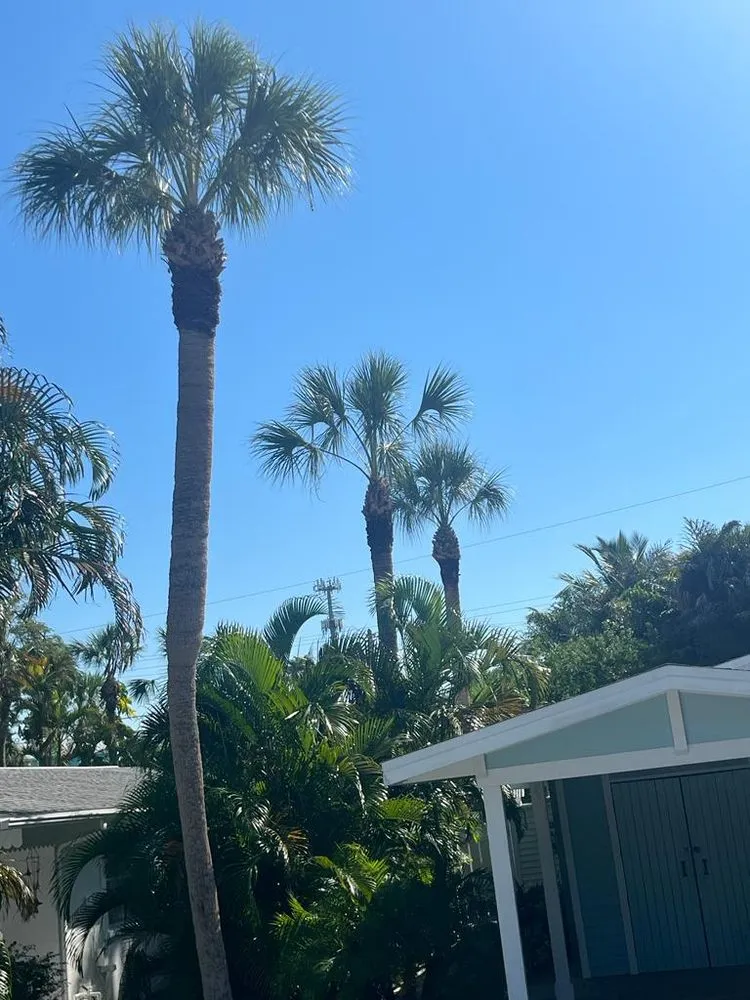 Expert landscape design near you in Bradenton, FL by Aztec Lawns Service