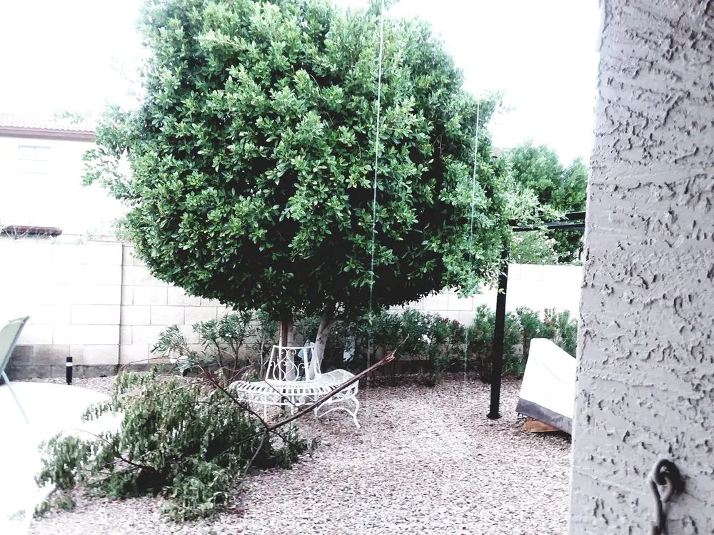 Local lawn mowing service in Anthem, AZ - Azteca Home Services