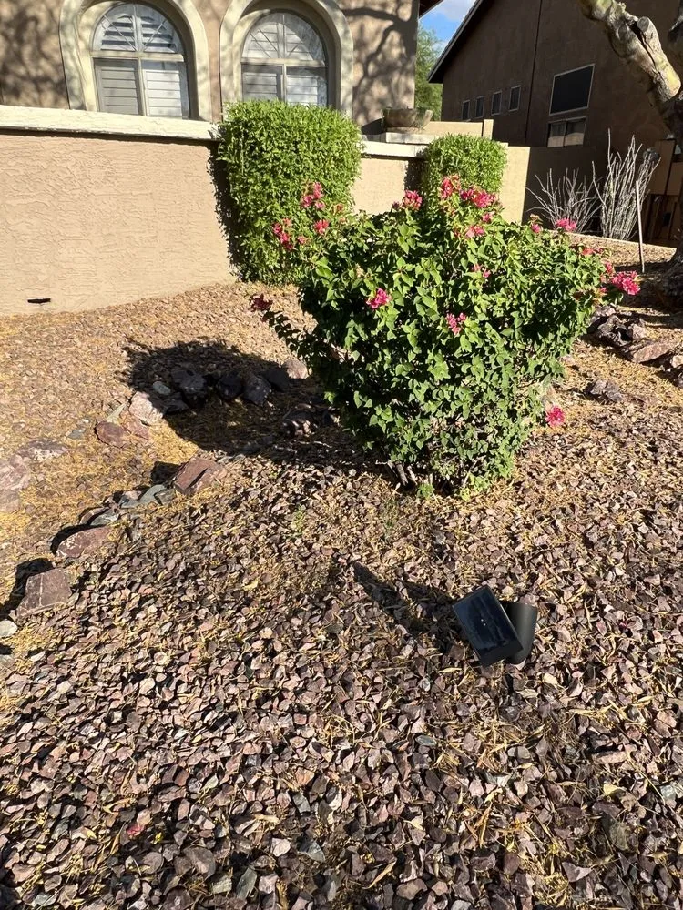 Affordable landscaping services for beautiful yards across Anthem, AZ - Azteca Home Services