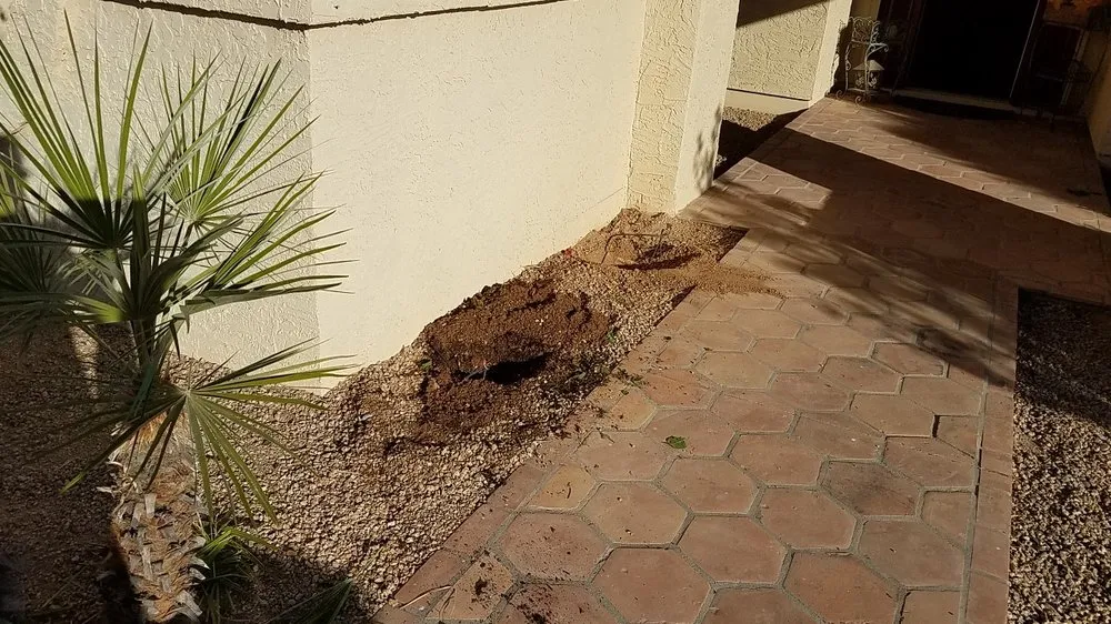 Trusted yard cleanup service for beautiful yards in Anthem, AZ by Azteca Home Services