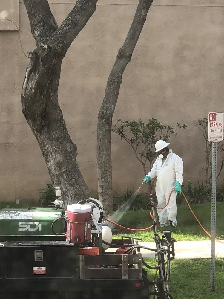 Custom lawn mowing service in Long Beach, CA by Azteca Landscape