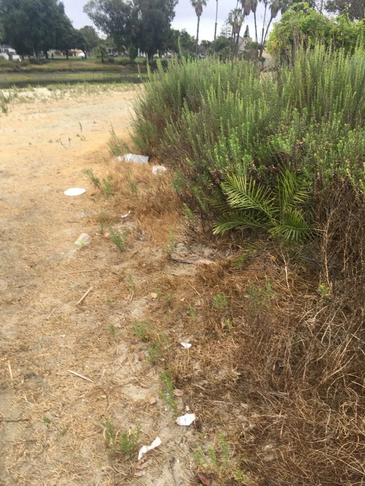 Local landscape installation in Long Beach, CA - Azteca Landscape