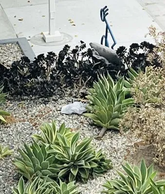 Azteca Landscape Logo