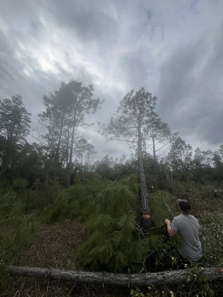 Custom residential landscaping for outdoor upgrades in Wilmington, NC by Azteca Landscape