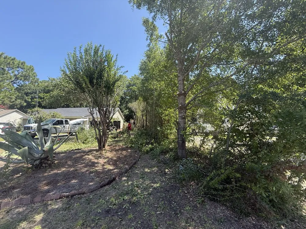 Affordable landscaping services experts serving Wilmington, NC - Azteca Landscape