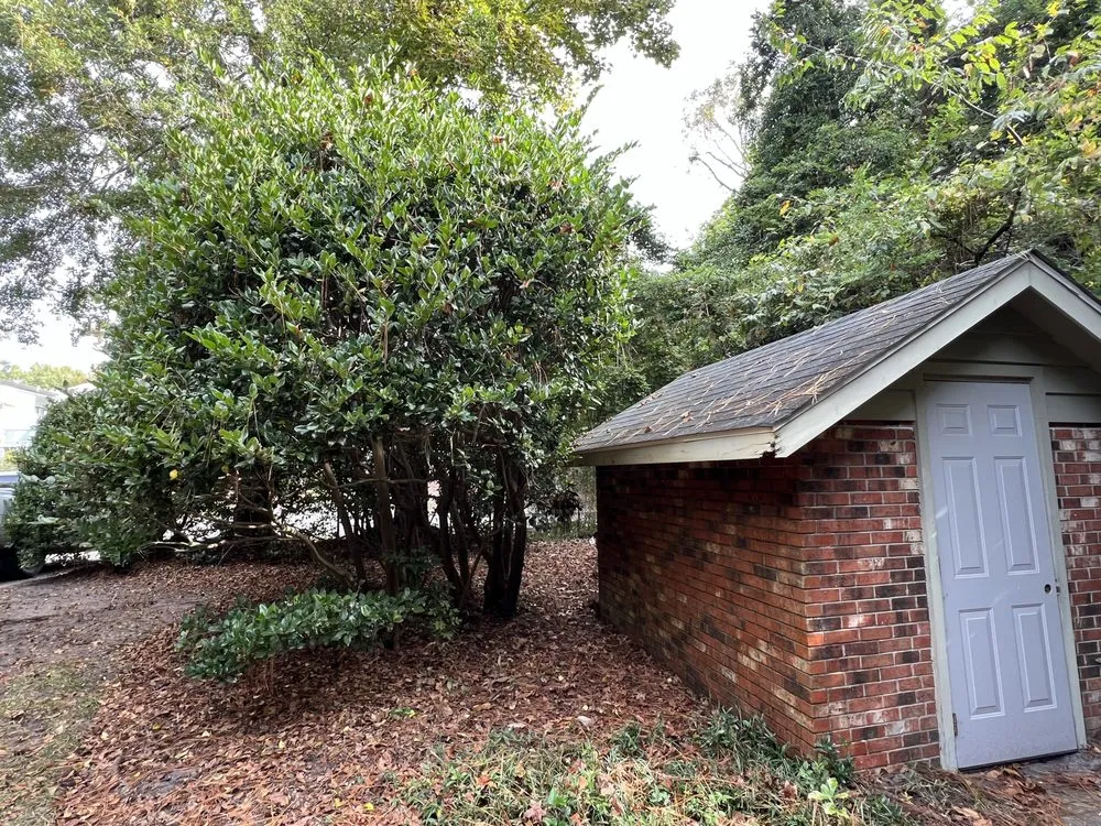 Top-rated landscaping services for year-round maintenance in Wilmington, NC by Azteca Landscape