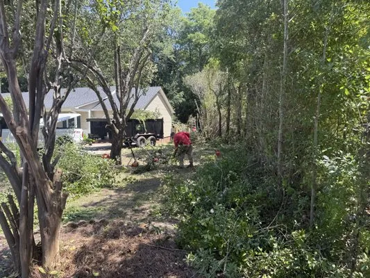 Azteca Landscape Logo