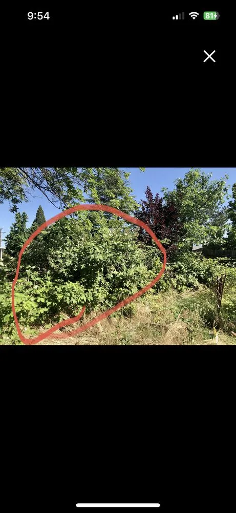 Local outdoor landscaping in Medford, OR by Azteca Lawn Care