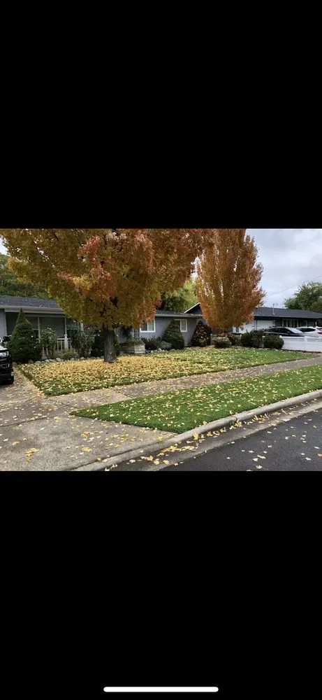 Trusted landscape design in Medford, OR by Azteca Lawn Care