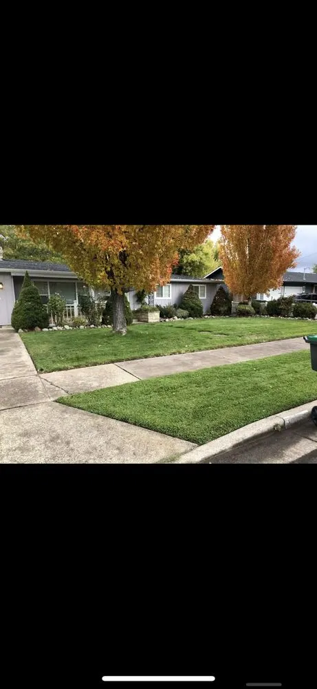 Reliable landscape design experts serving Medford, OR - Azteca Lawn Care