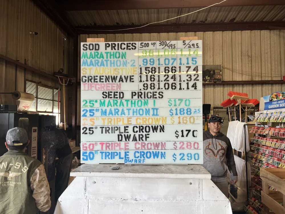 Reliable yard cleanup service in Bell, CA by Azucenas and Gladiolas Gardening Service