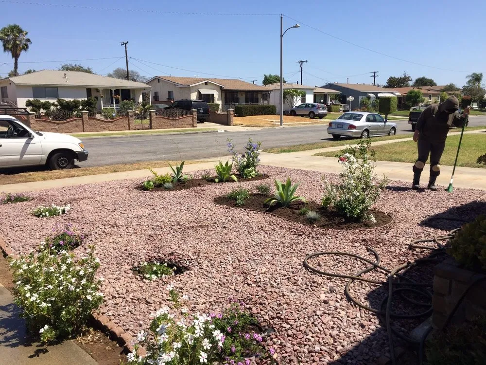 Custom yard maintenance in Bell, CA by Azucenas and Gladiolas Gardening Service