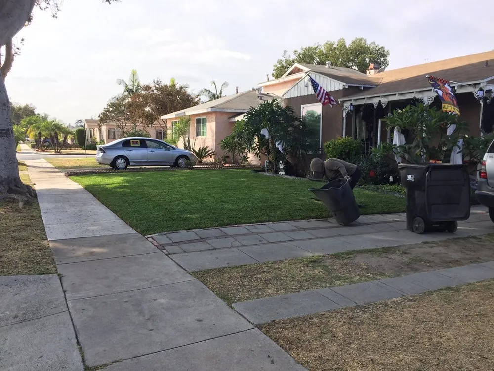 Expert yard maintenance in Bell, CA by Azucenas and Gladiolas Gardening Service