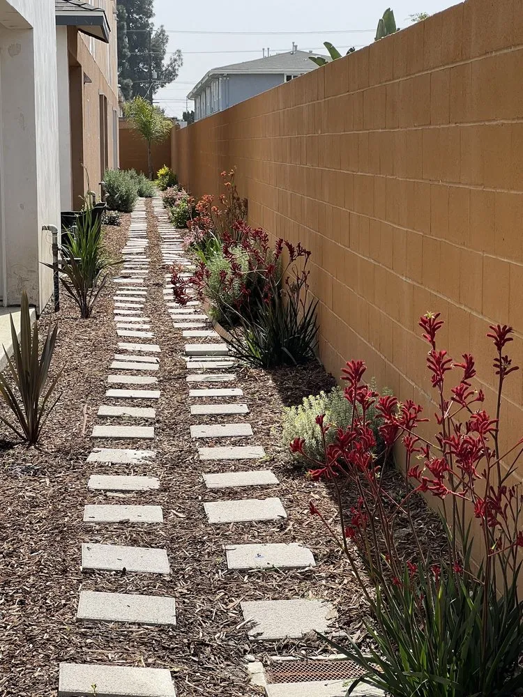 Top-rated yard cleanup service in Bell, CA - Azucenas and Gladiolas Gardening Service