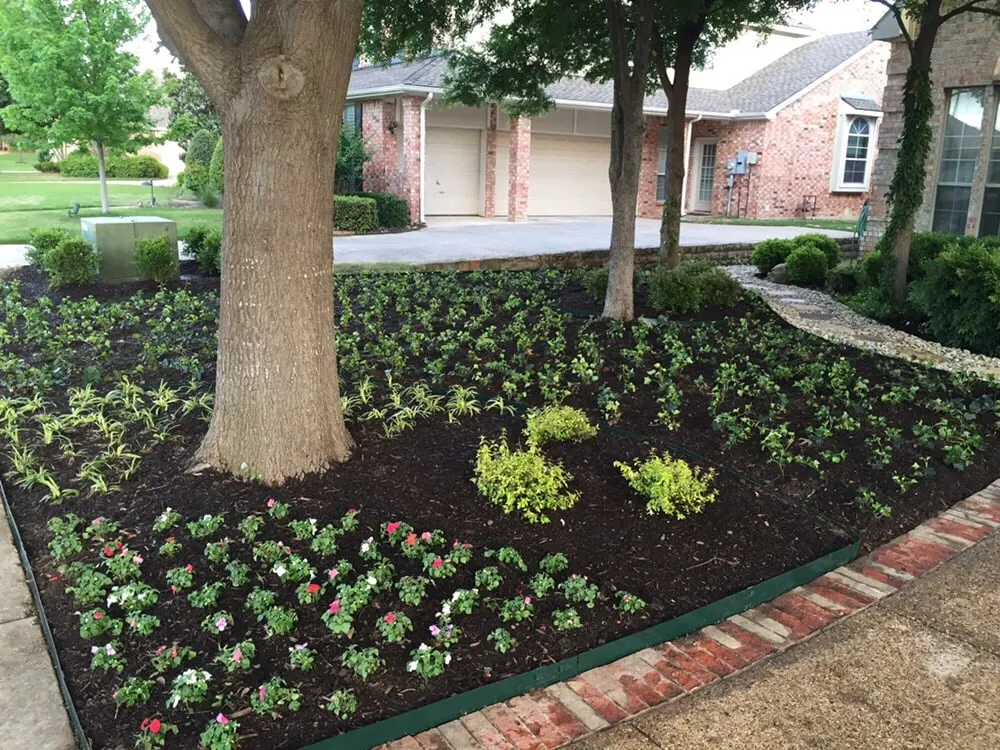 Trusted landscape design in Plano, TX by Azul Landscaping Solutions