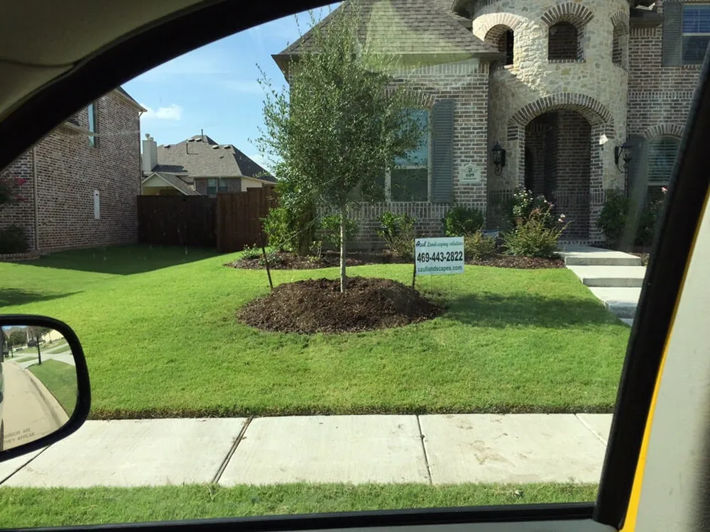 Local yard cleanup service in Plano, TX - Azul Landscaping Solutions