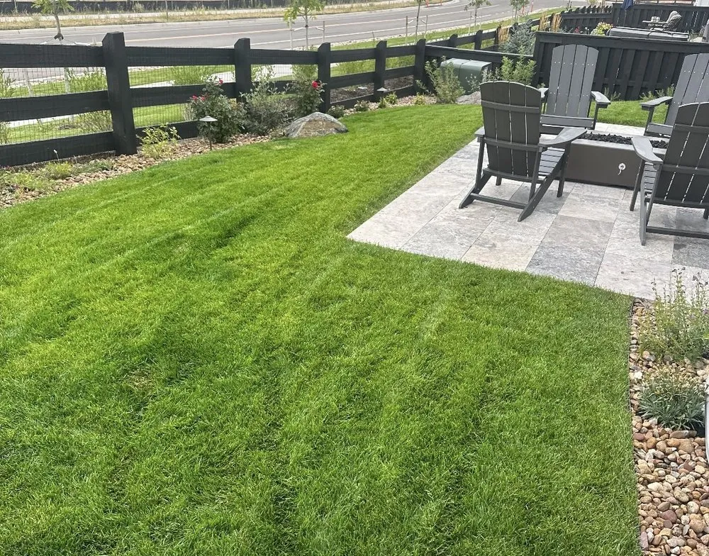 Top-rated lawn care service in Cave Creek, AZ - Azul-Verde Design Group