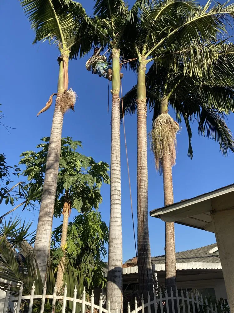 Affordable garden landscaping with custom design in La Habra, CA by Azury Landscaping