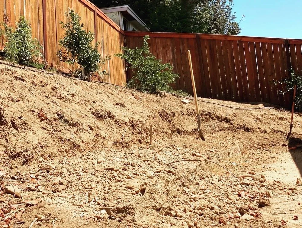 Professional lawn care service with custom design in La Habra, CA by Azury Landscaping