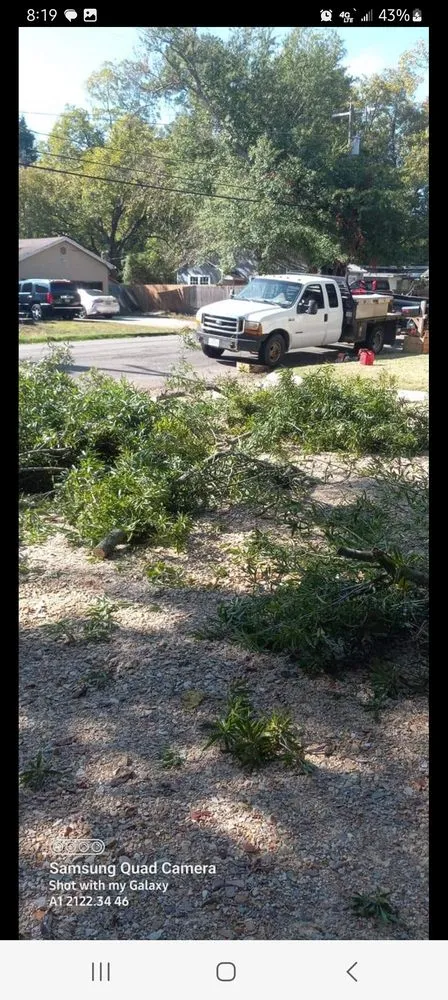 Expert landscaping services for outdoor upgrades across Paris, TX - B - Well Tree Service