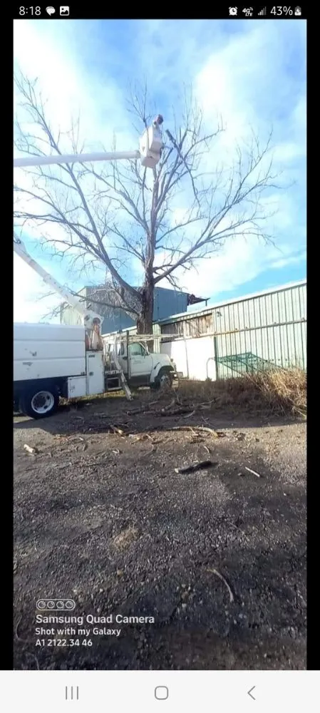 Professional landscaping services experts serving Paris, TX - B - Well Tree Service