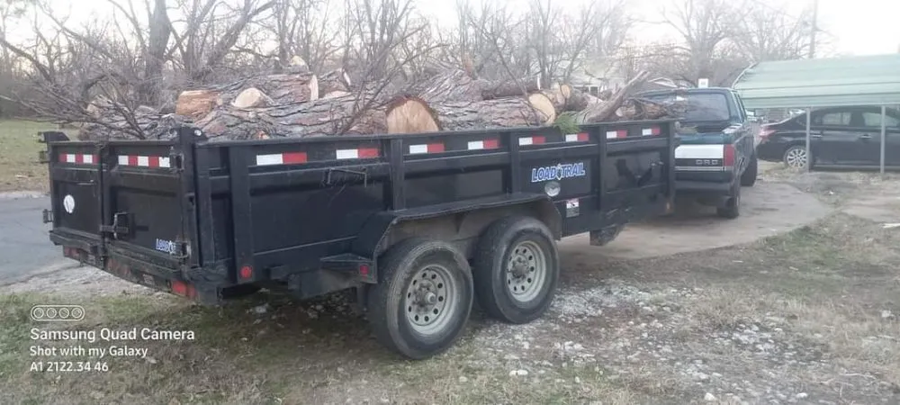 Top-rated yard cleanup service in Paris, TX - B - Well Tree Service