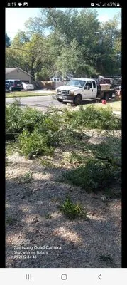 B - Well Tree Service Logo