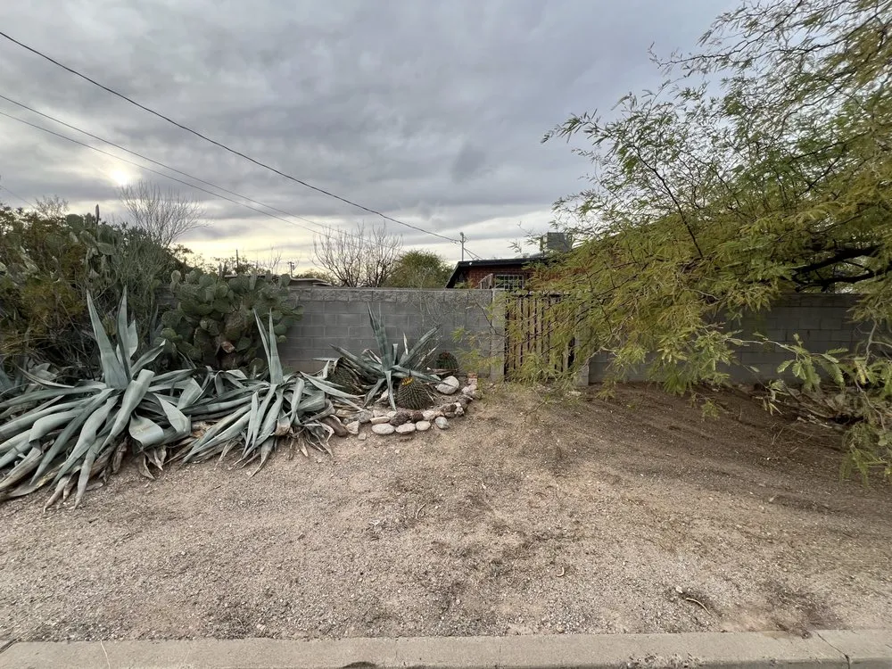 Reliable landscape design for outdoor upgrades across Tucson, AZ - B & A Landscaping