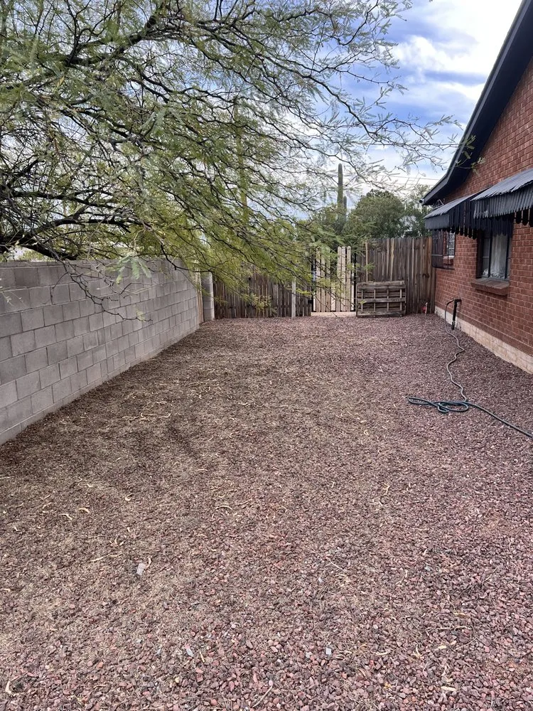 Expert yard maintenance for year-round maintenance across Tucson, AZ - B & A Landscaping