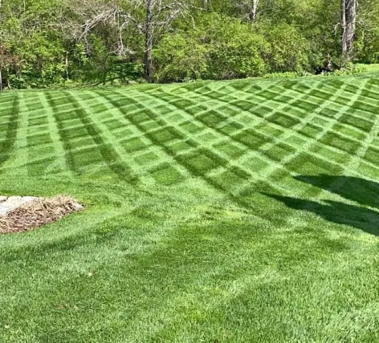 Affordable lawn care service for beautiful yards in Greensburg, IN by B & A Lawn Care