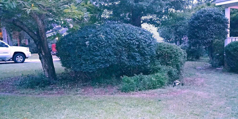 Expert lawn care service in Graniteville, SC - B & A Lawncare