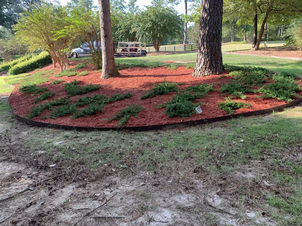 Top-rated outdoor landscaping in Graniteville, SC - B & A Lawncare