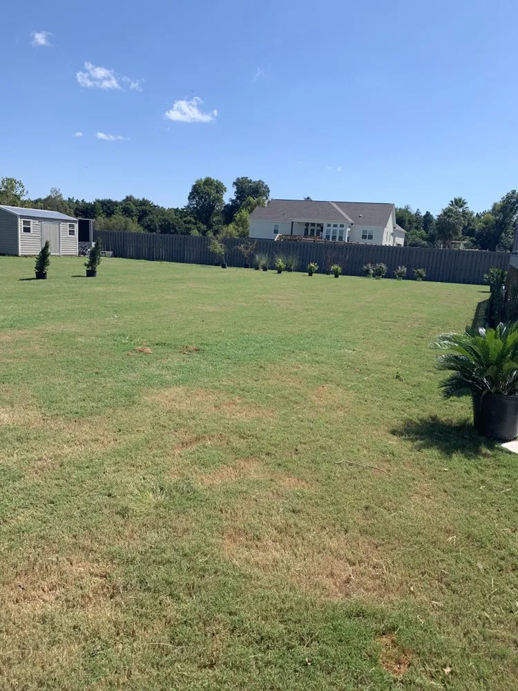 Professional landscape design in Graniteville, SC - B & A Lawncare