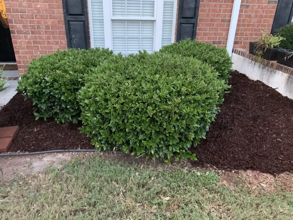 Reliable outdoor landscaping experts serving Graniteville, SC - B & A Lawncare