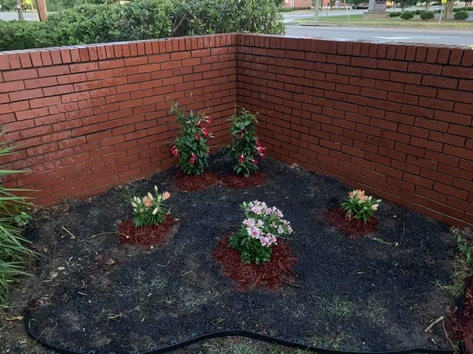 Professional landscaping services in Graniteville, SC - B & A Lawncare
