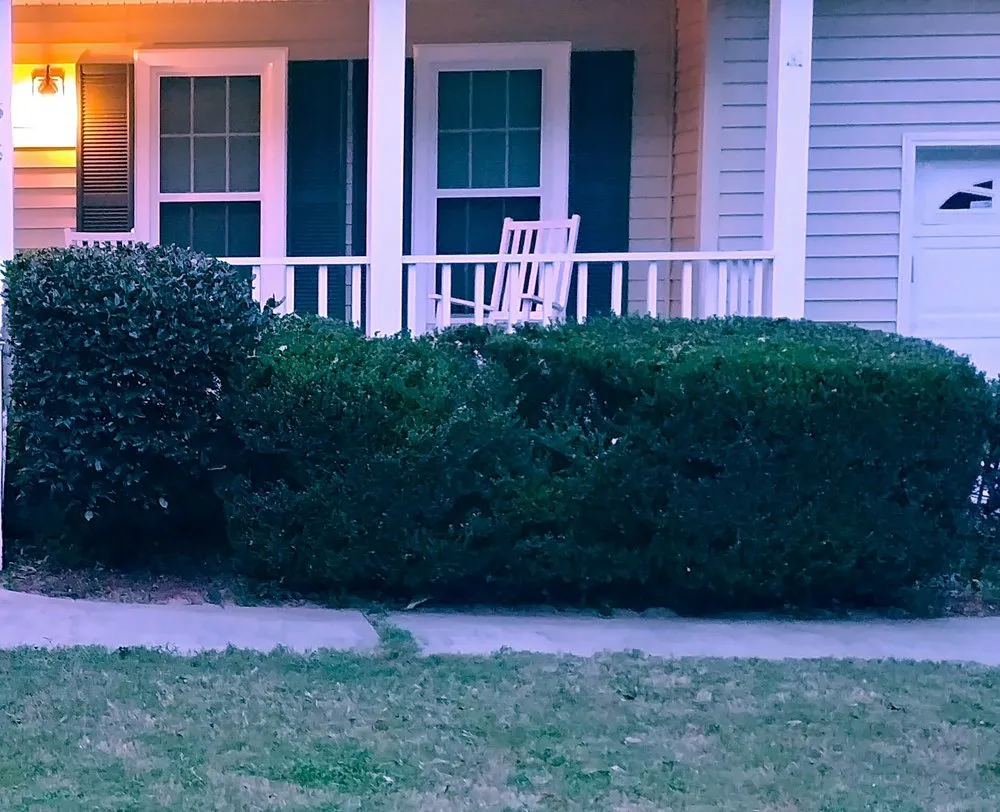 Custom yard cleanup service in Graniteville, SC by B & A Lawncare