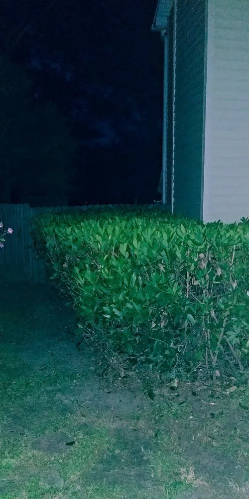 Affordable outdoor landscaping in Graniteville, SC - B & A Lawncare