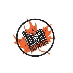 Trusted yard cleanup service near you in Wichita, KS by B & A Mowing