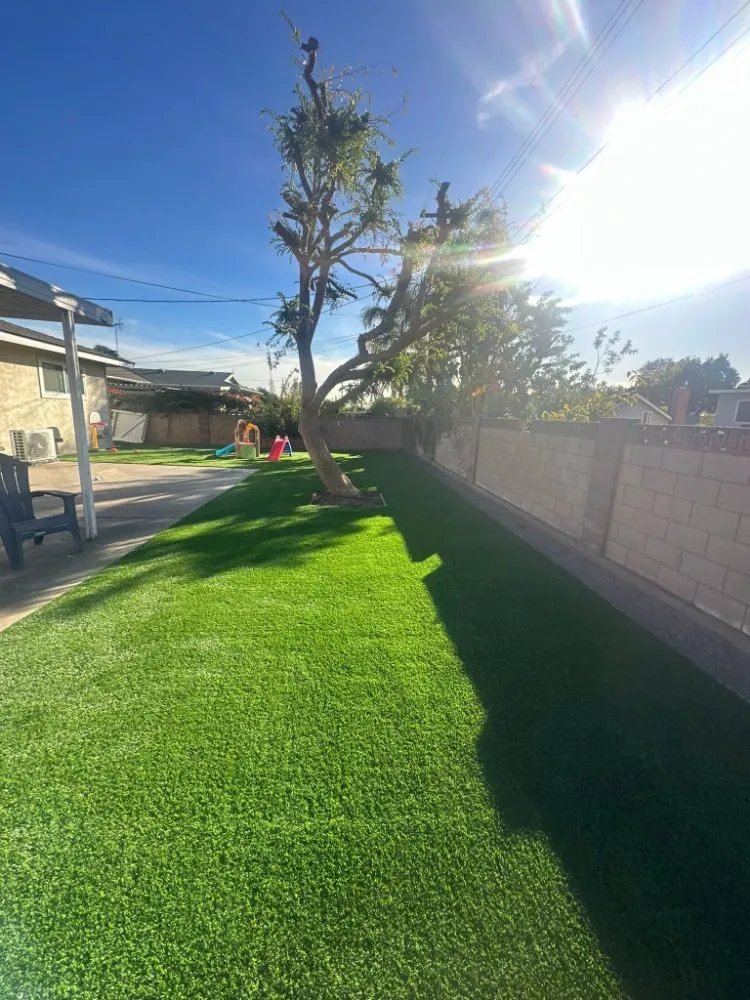 Trusted landscaping services for year-round maintenance in Los Angeles, CA by B & B Construction