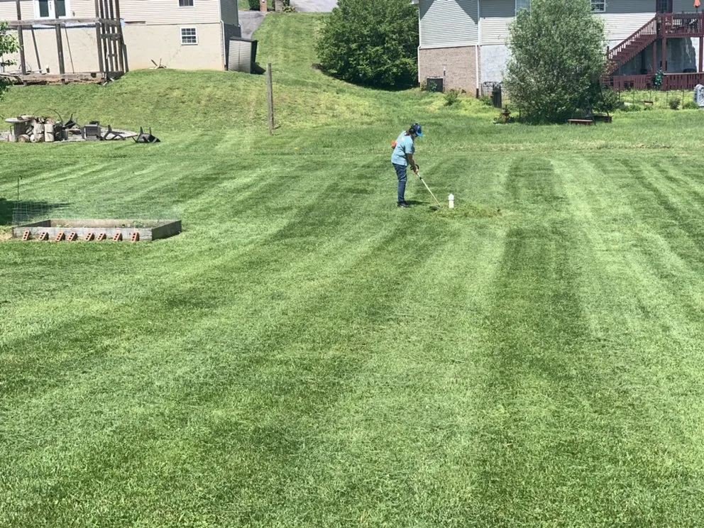Local yard maintenance for beautiful yards across Sevierville, TN - B & B Cut Rite Lawn Service
