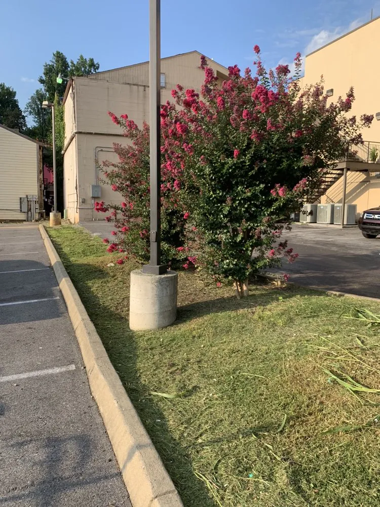 Reliable garden landscaping in Sevierville, TN - B & B Cut Rite Lawn Service