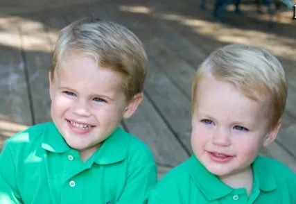 Professional landscaping services with custom design in Jacksonville, FL by B & B Exterminating