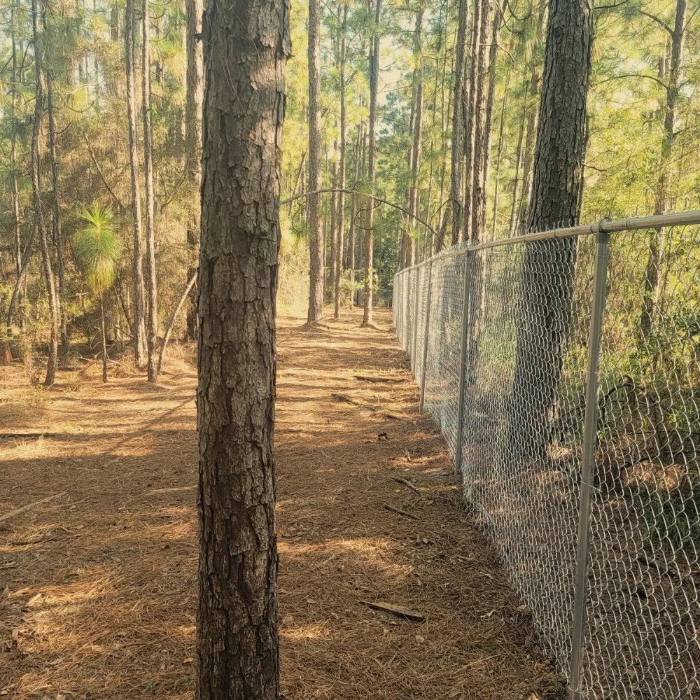 Professional outdoor landscaping in Mize, MS - B & B FENCING AND LAWN CARE