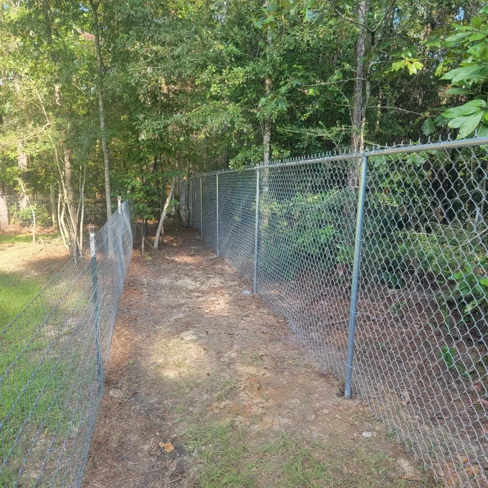 Local yard cleanup service experts serving Mize, MS - B & B FENCING AND LAWN CARE