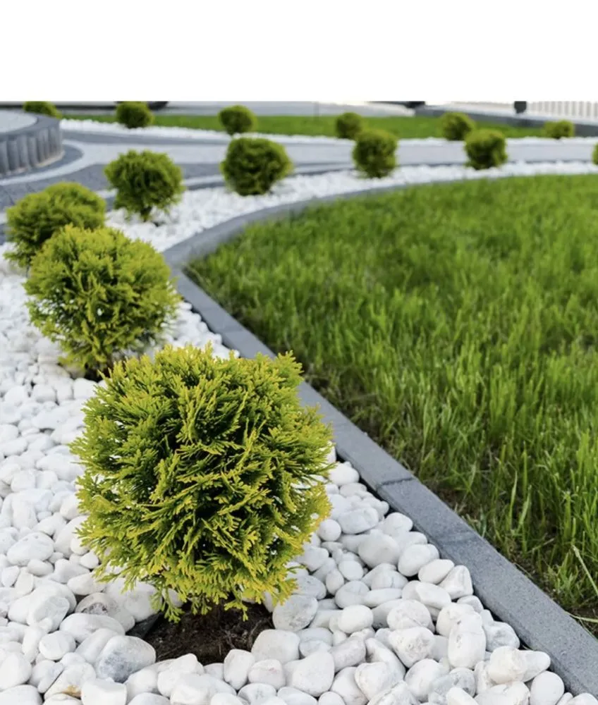 Trusted lawn care service for homes across Titusville, NJ - B & B General Contractors