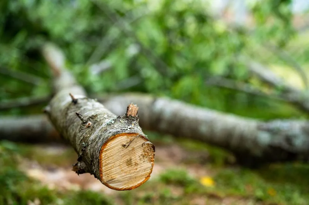 Trusted garden landscaping in Greer, SC by B & B Landscape Solutions