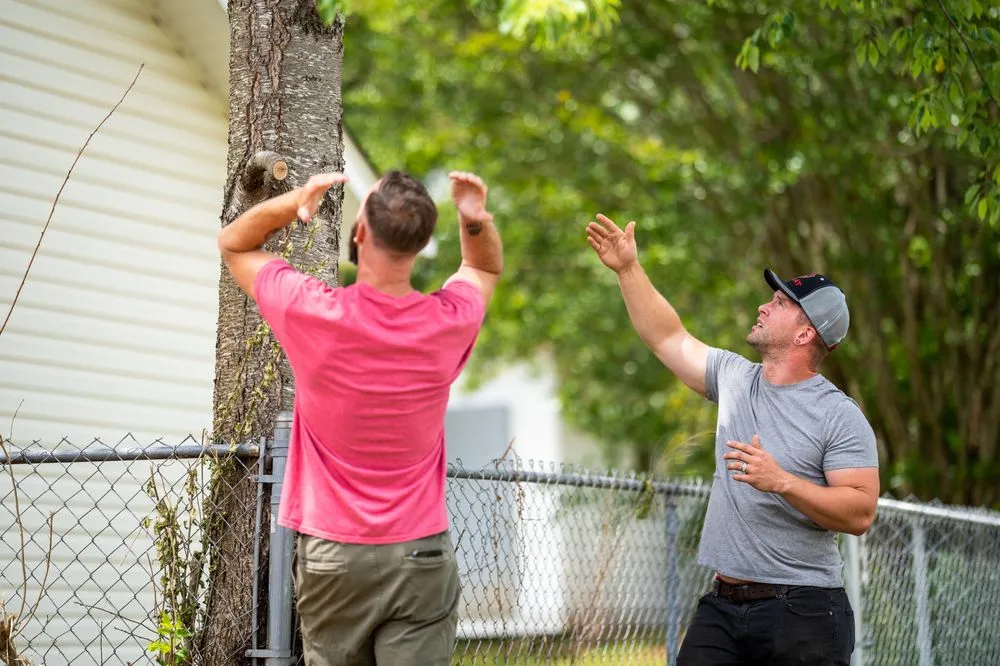 Professional yard cleanup service in Greer, SC - B & B Landscape Solutions